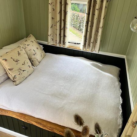 Berwick St James Stonehenge Campsite & Glamping酒店 外观 照片